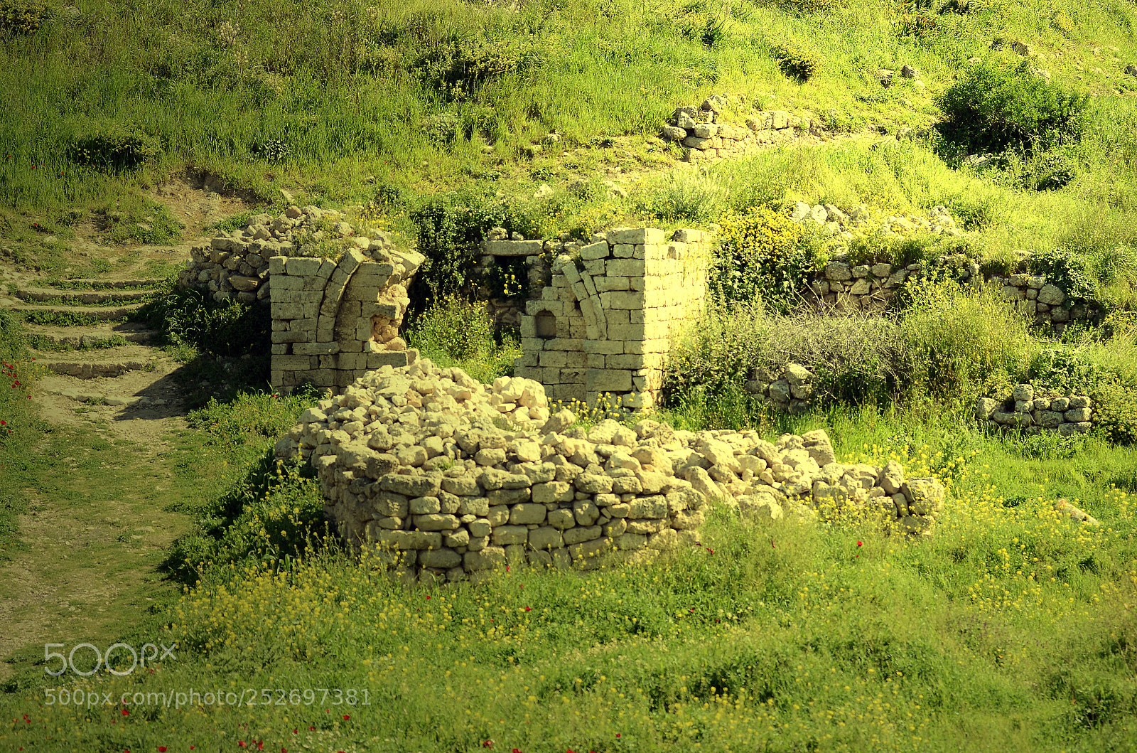 AF Zoom-Nikkor 80-200mm f/2.8 ED sample photo. Untitled photography