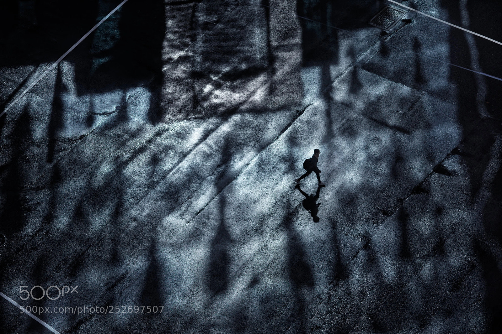 Nikon D5600 sample photo. Woman crosses road no.437 photography