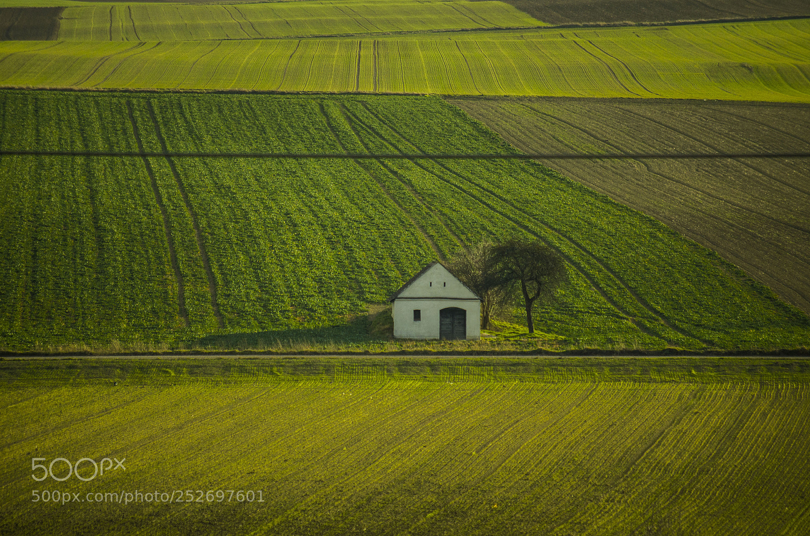 Pentax K-5 sample photo. Spring meadows photography