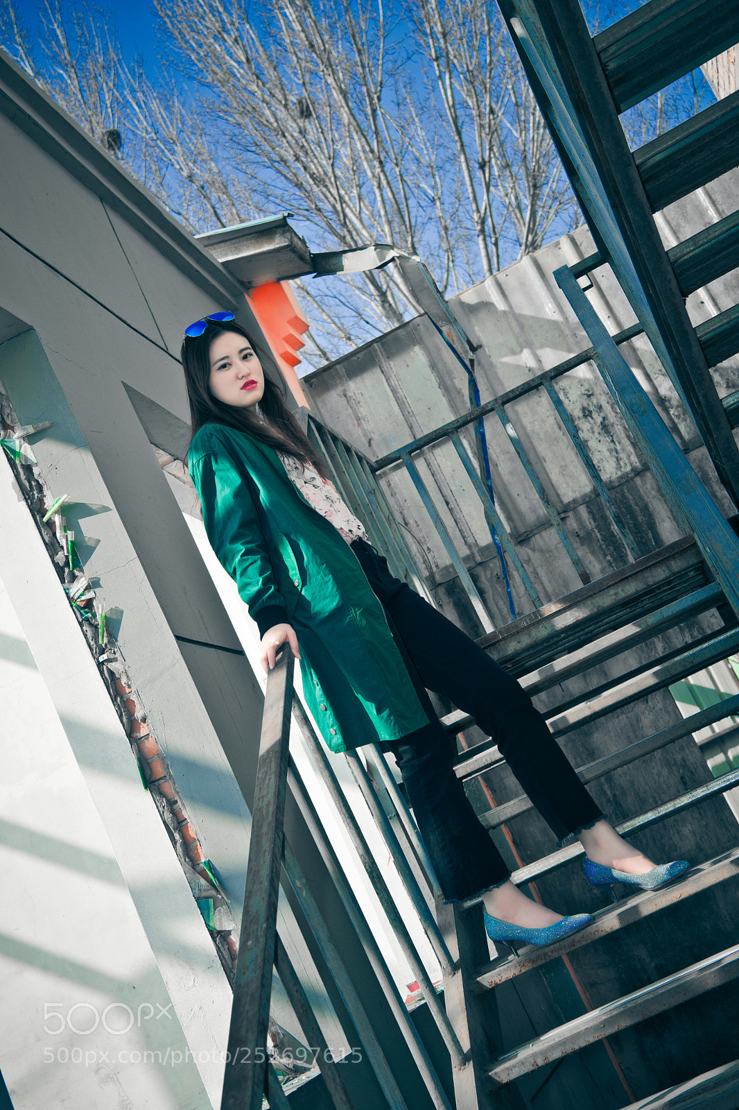 Nikon D5 sample photo. Untitled photography