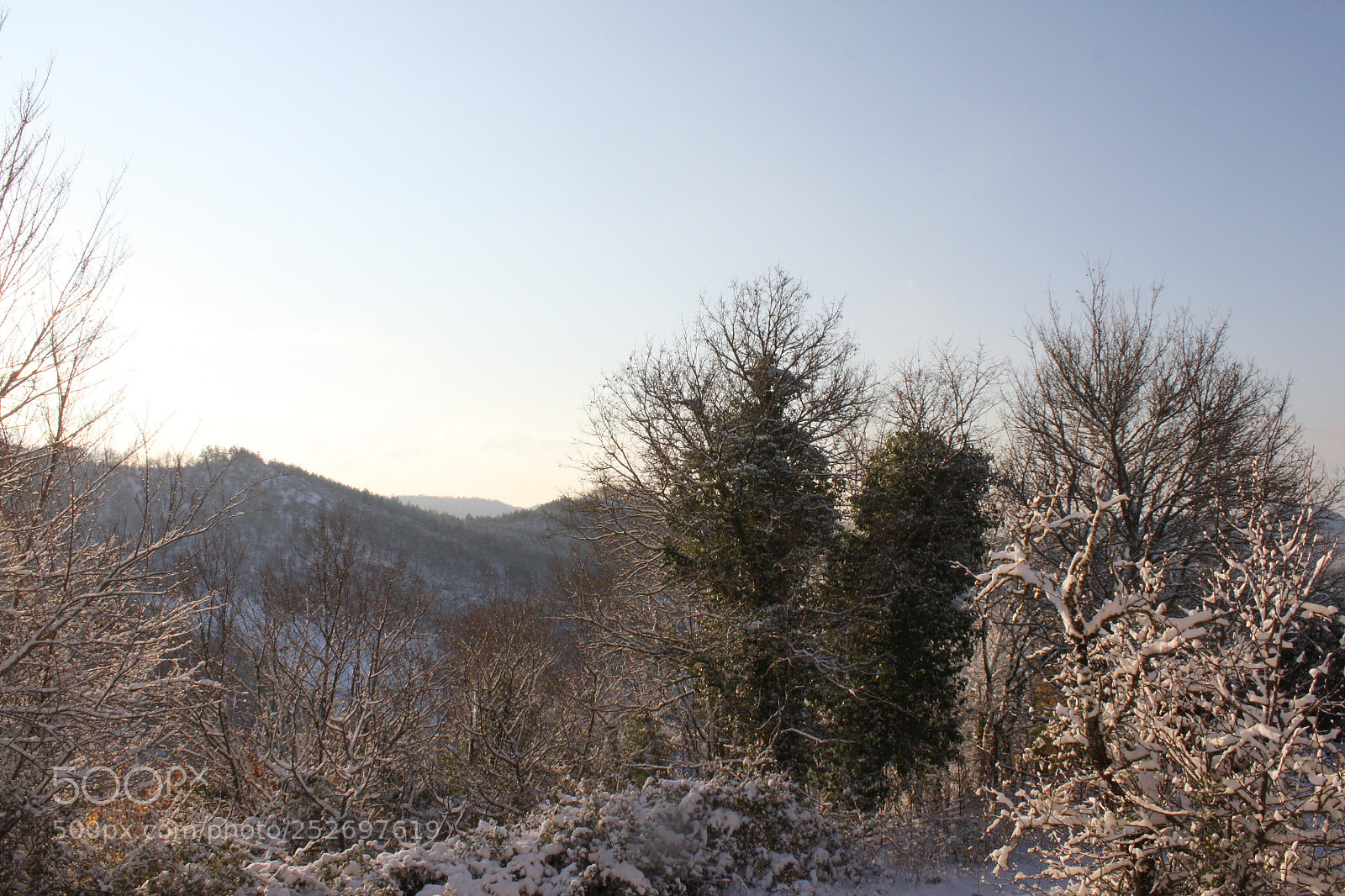 Canon EF-S 18-55mm F3.5-5.6 IS sample photo. Winter wonderland photography