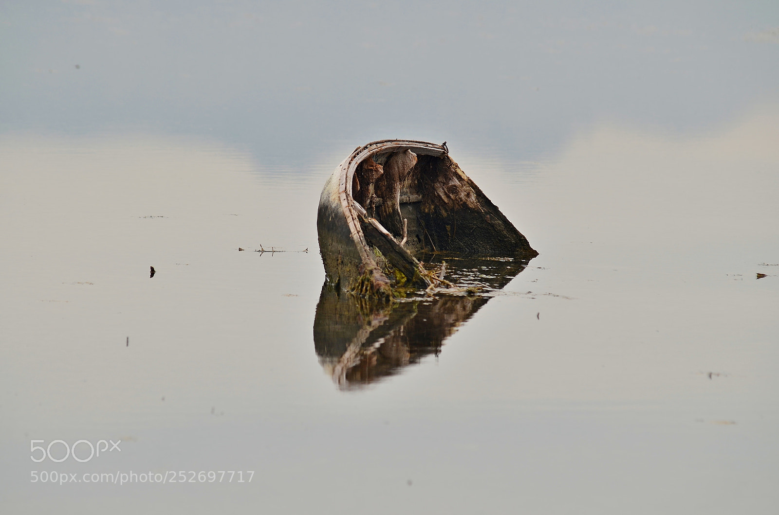 AF Zoom-Nikkor 80-200mm f/2.8 ED sample photo. Untitled photography