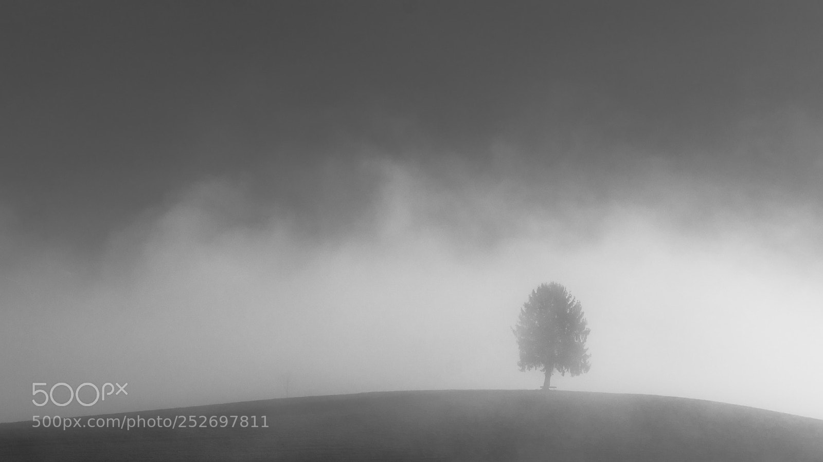 Sony a7R II sample photo. Foggy photography