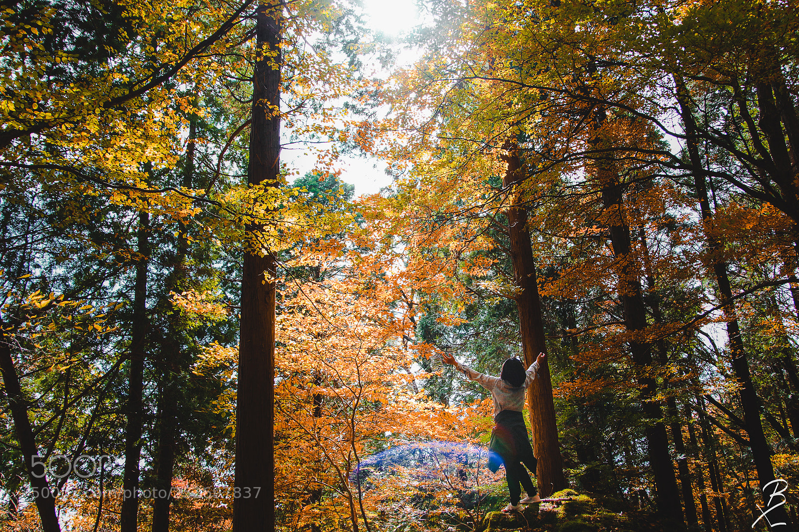 Canon EOS 7D Mark II sample photo. Embracing sunlight photography