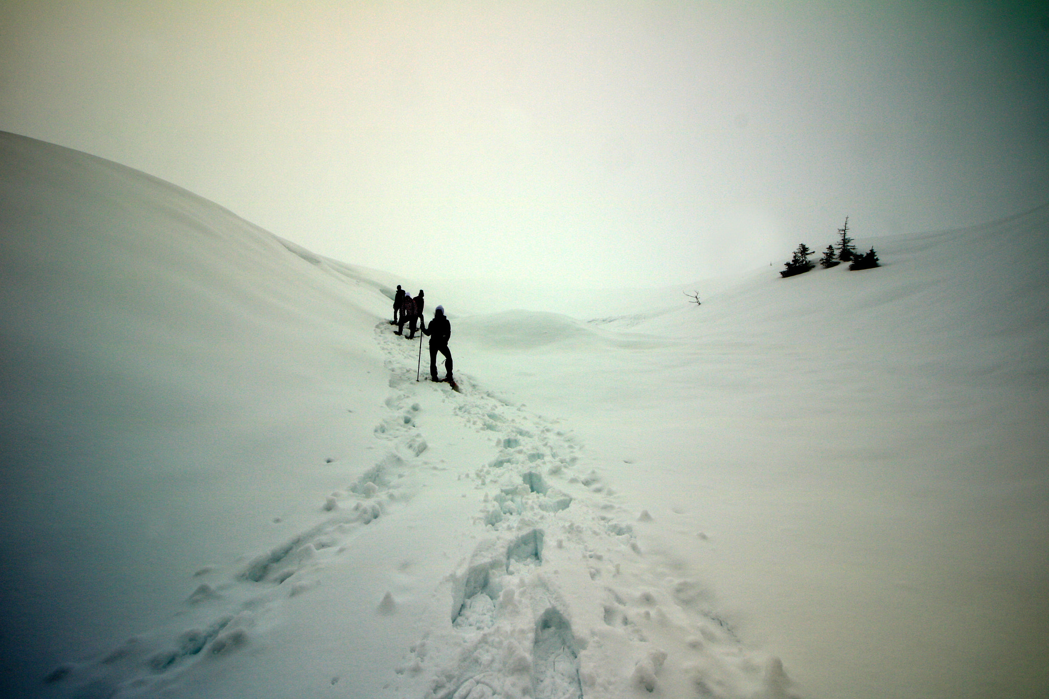 Canon EOS 750D (EOS Rebel T6i / EOS Kiss X8i) sample photo. Snow path photography