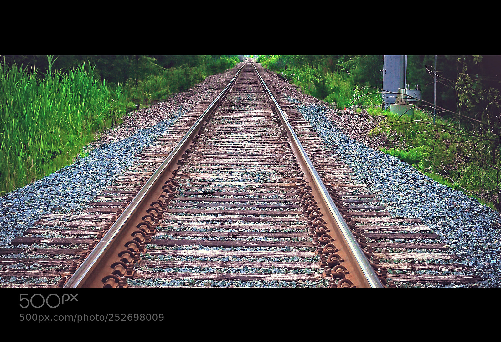 Canon EOS-1D X sample photo. Down the tracks i photography