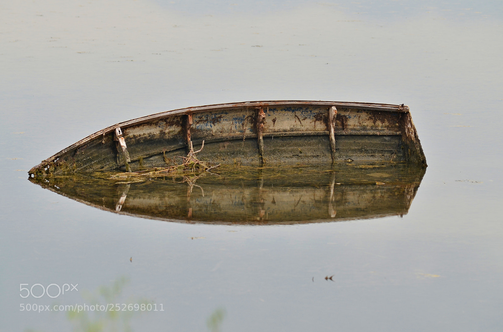 AF Zoom-Nikkor 80-200mm f/2.8 ED sample photo. Untitled photography