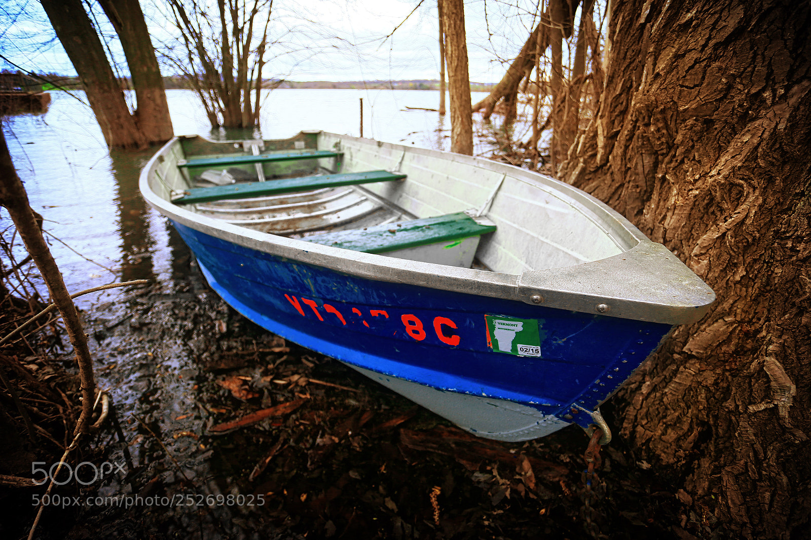 Canon EOS-1D X sample photo. Awaiting people photography