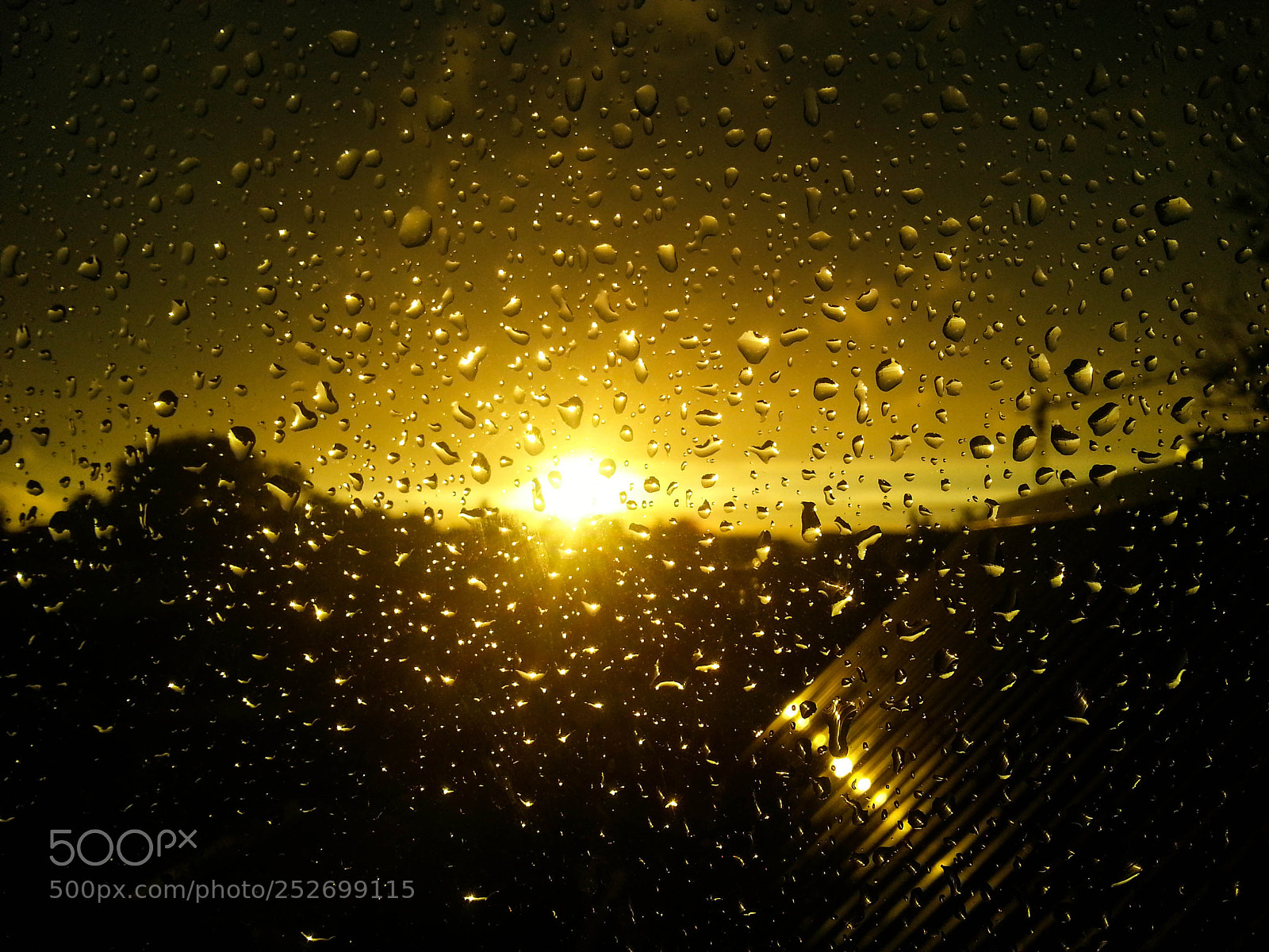 Samsung Galaxy Note2 sample photo. After the rain photography