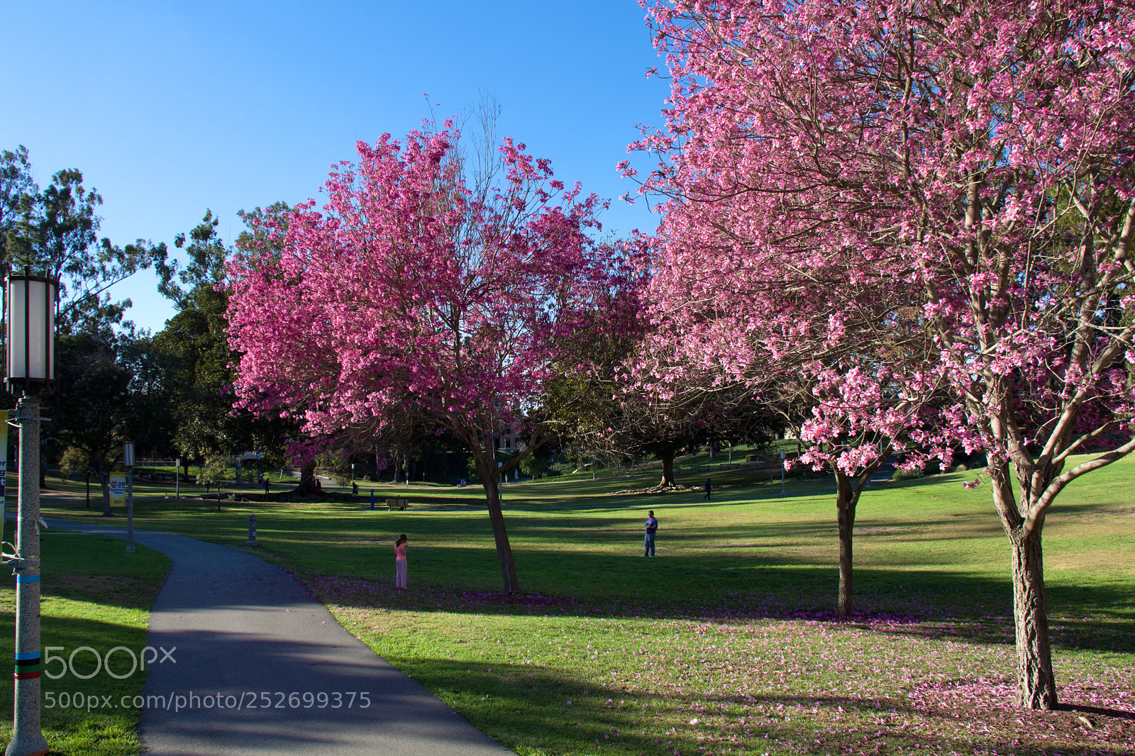 Canon EOS 60D sample photo. University of california, irvine photography