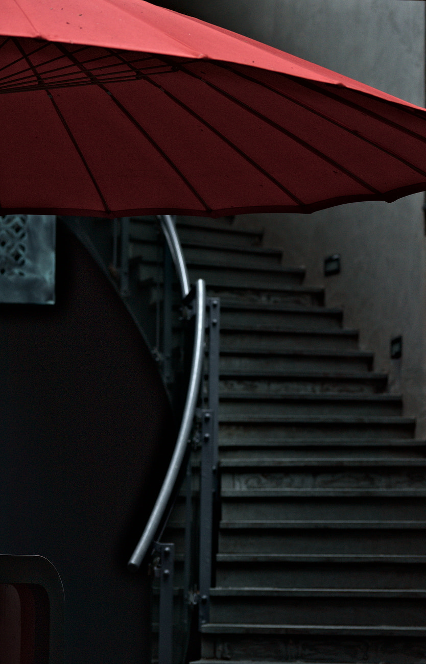 Nikon D3100 sample photo. Entrance photography