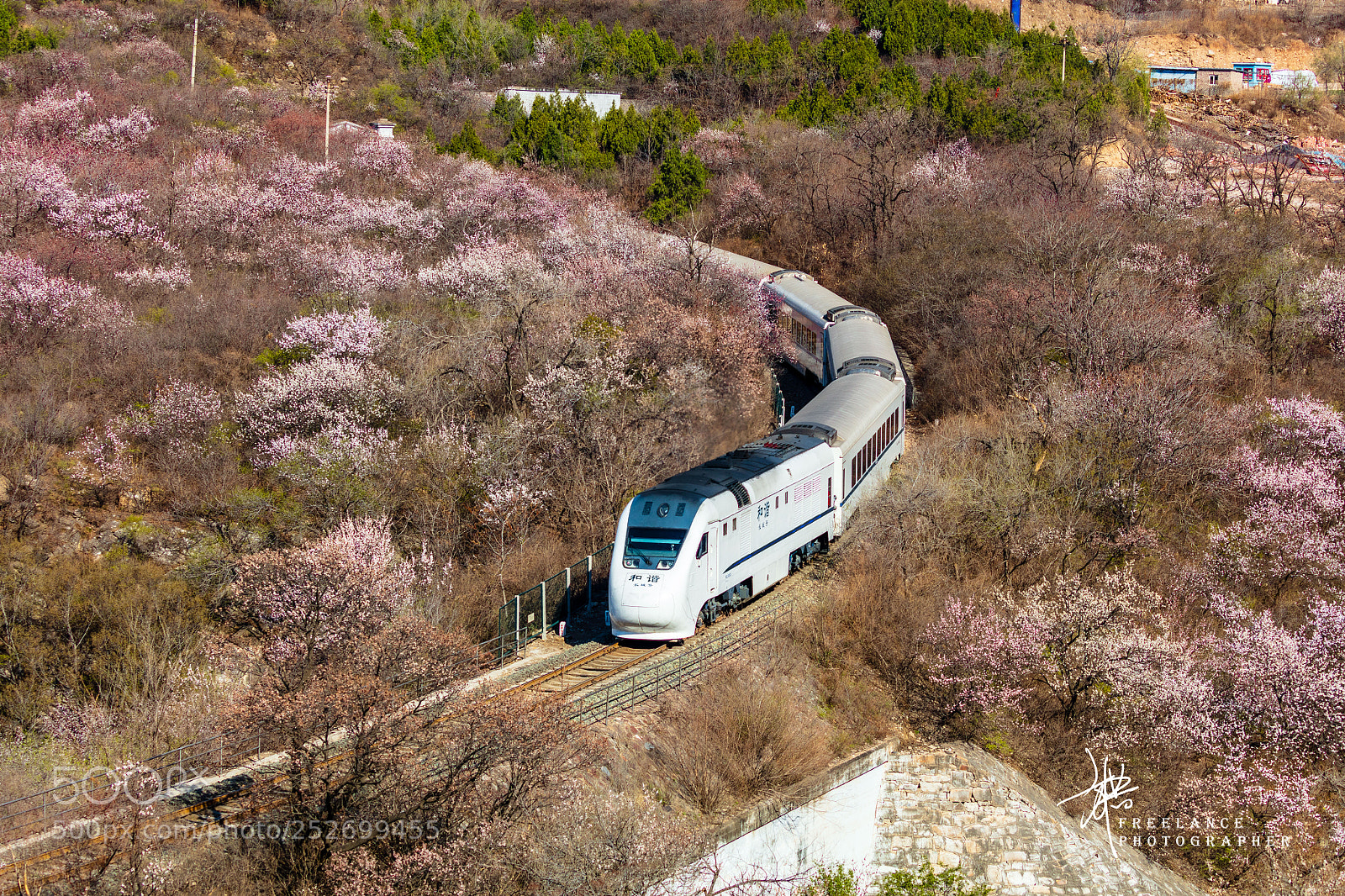 Canon EOS 5DS sample photo. 春天的火车 photography