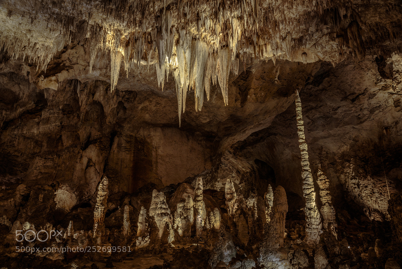 Nikon D750 sample photo. Carlsbad caverns photography