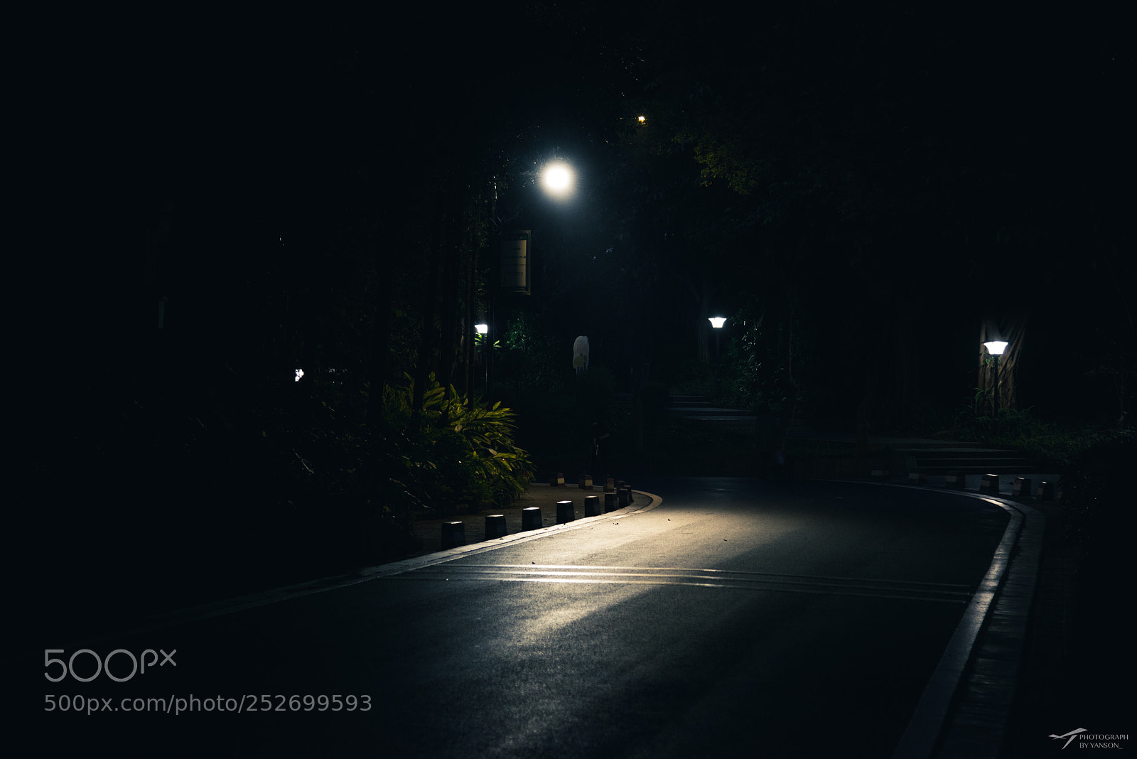 Nikon D810 sample photo. Untitled photography