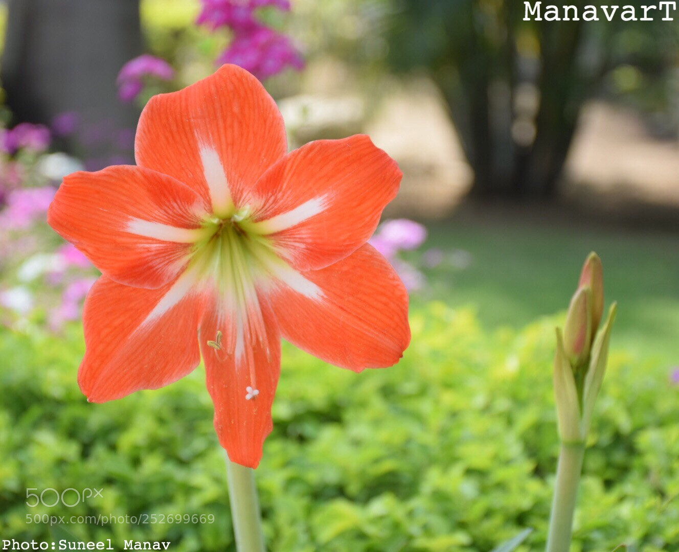 Nikon D5300 sample photo. Untitled photography