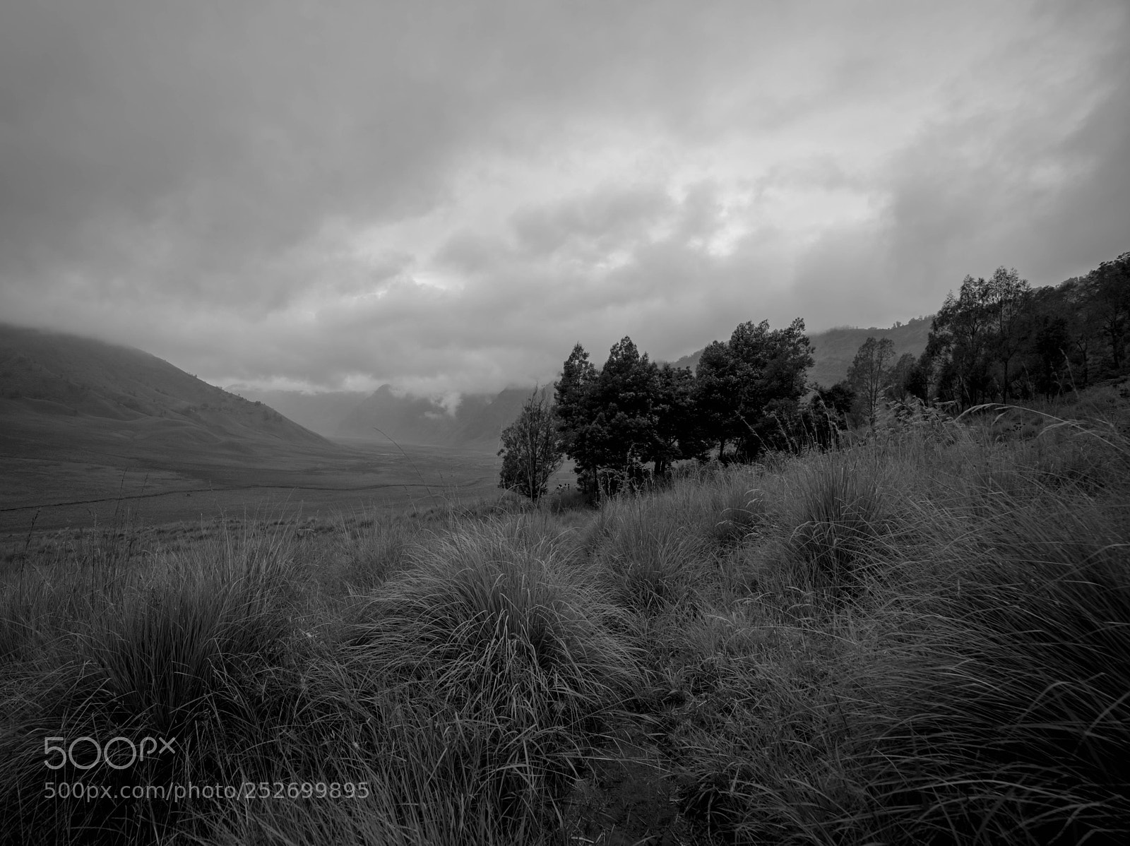 Nikon D810 sample photo. Untitled photography