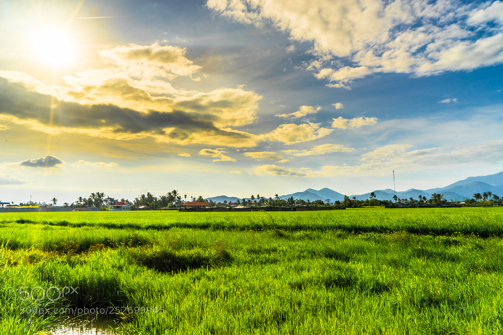 Sony a7 sample photo. Dsc photography
