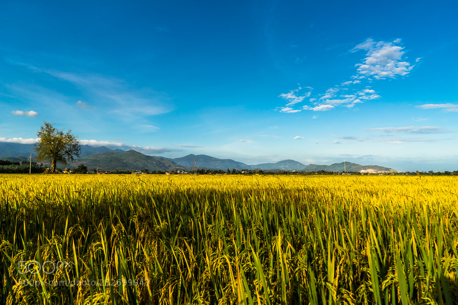 Sony a7 sample photo. Dsc photography
