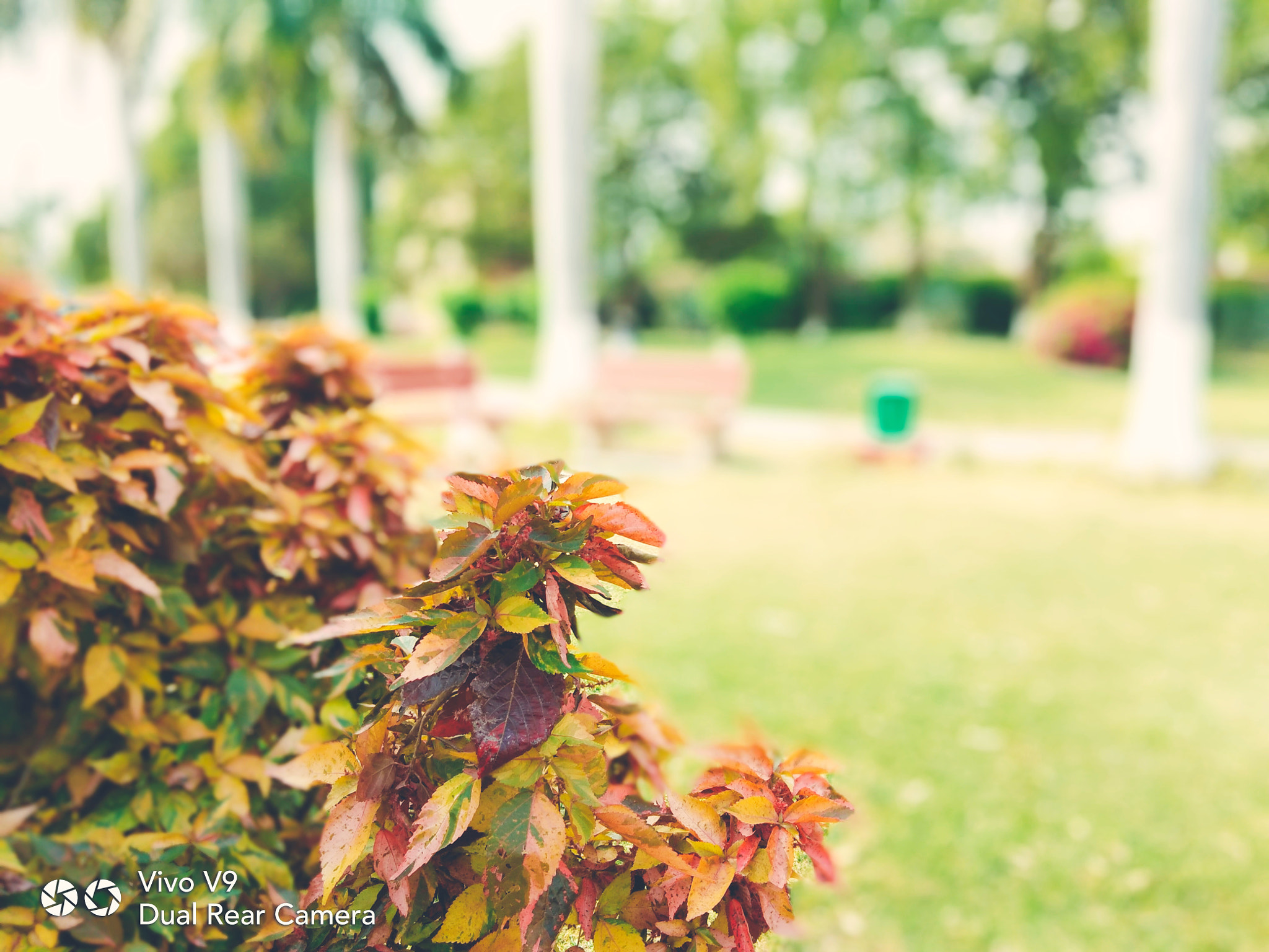 vivo V9 6GB sample photo