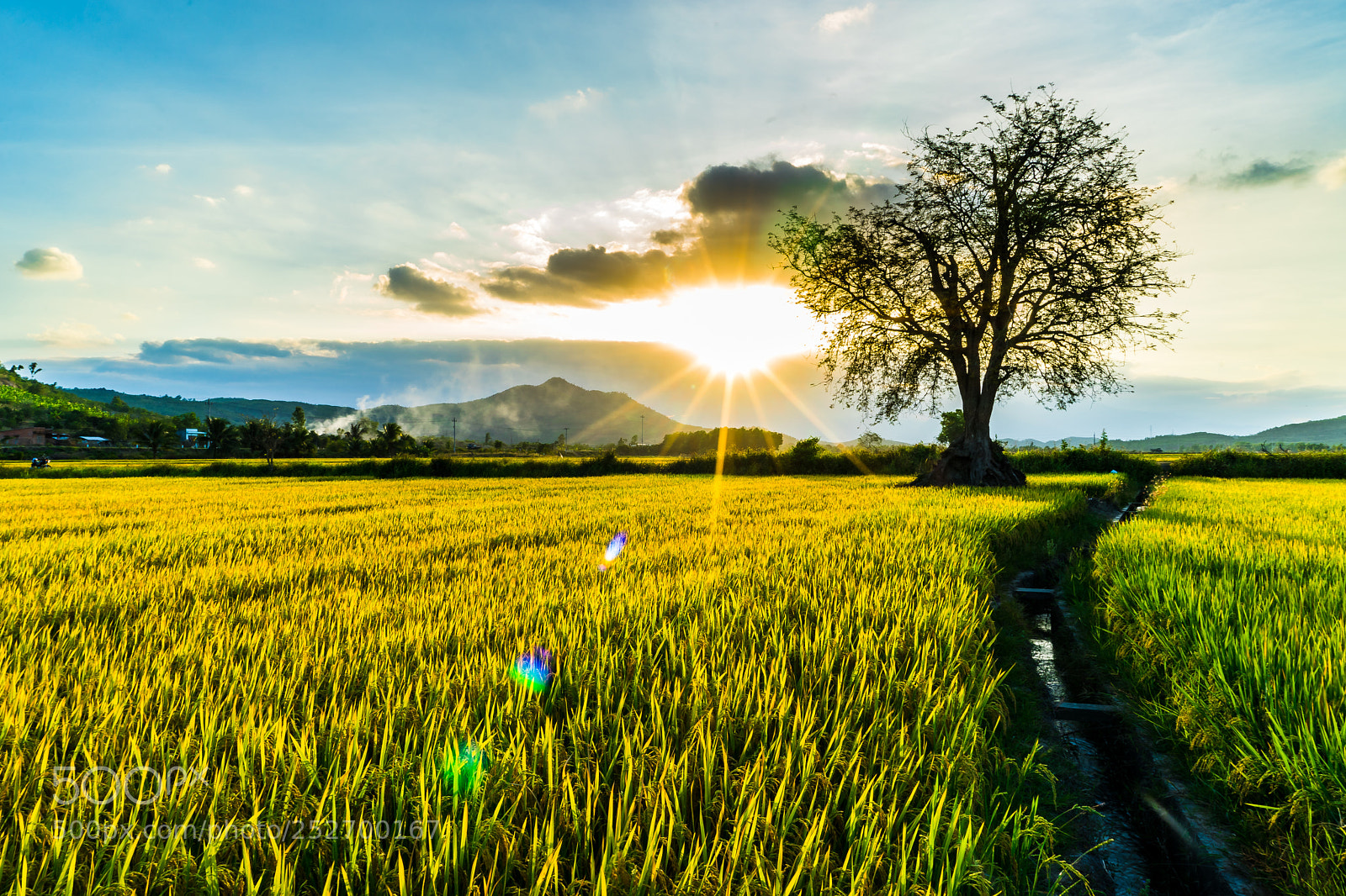 Sony a7 sample photo. Dsc photography