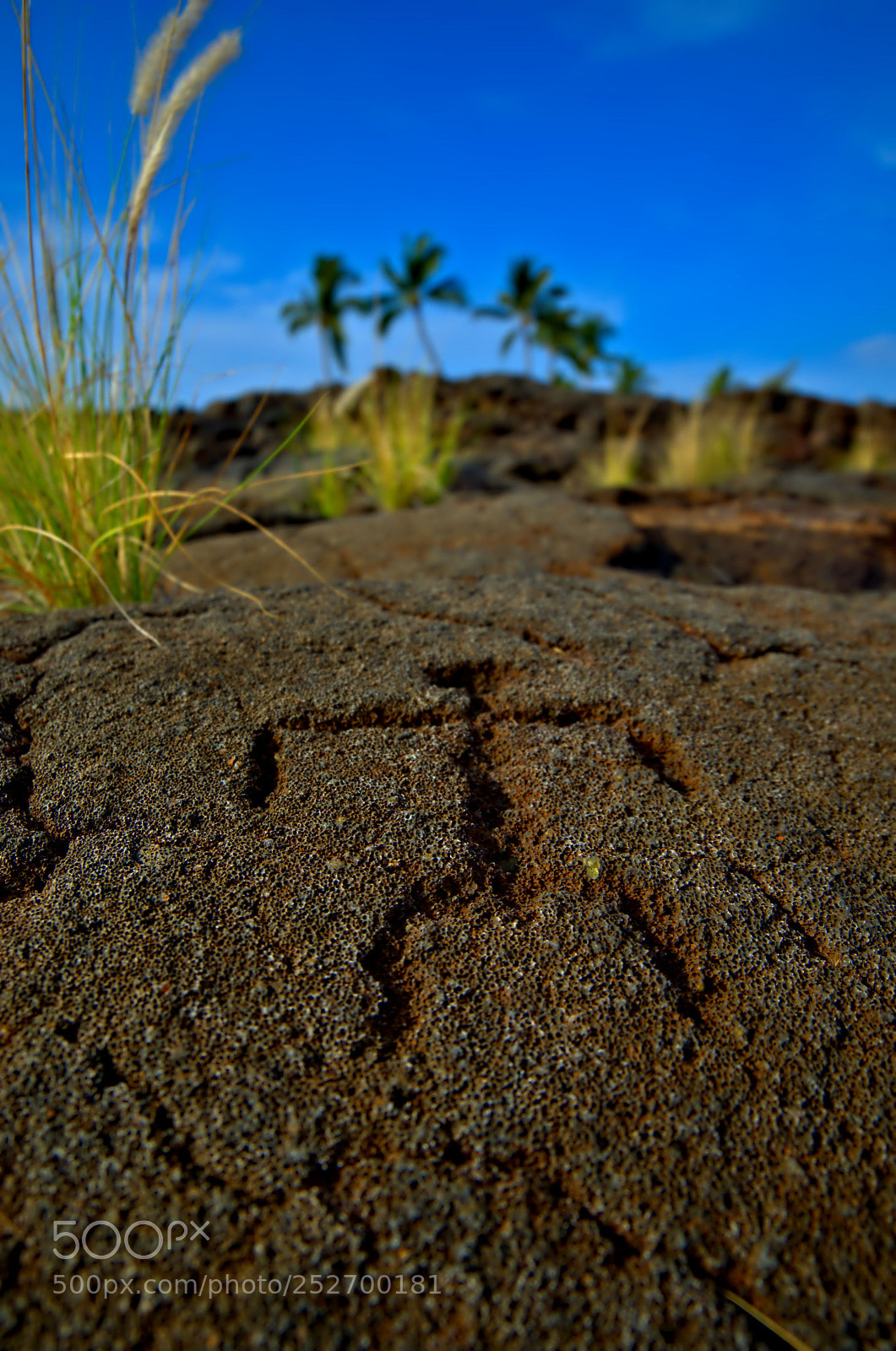 Nikon D5100 sample photo. Hawaiian petroglyph photography