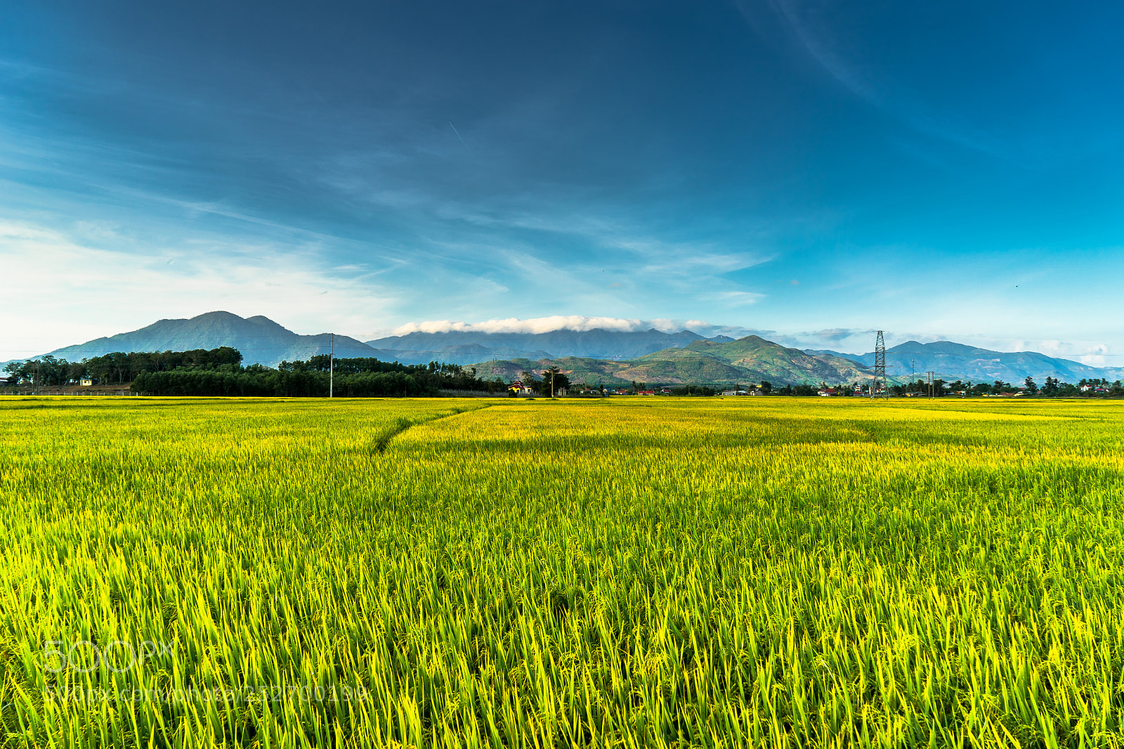 Sony a7 sample photo. Dsc photography