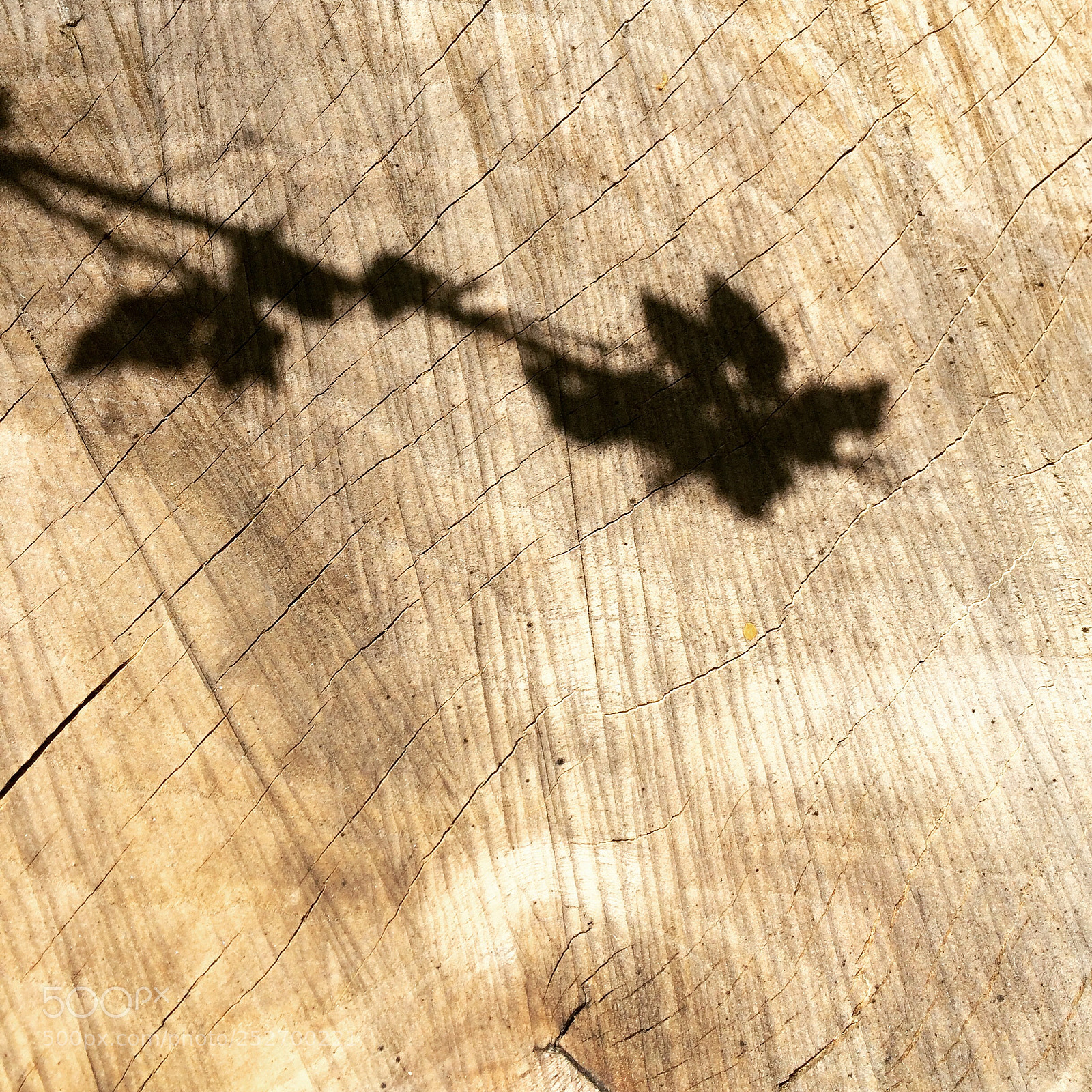 Apple iPhone 5s sample photo. Shade on a memento photography