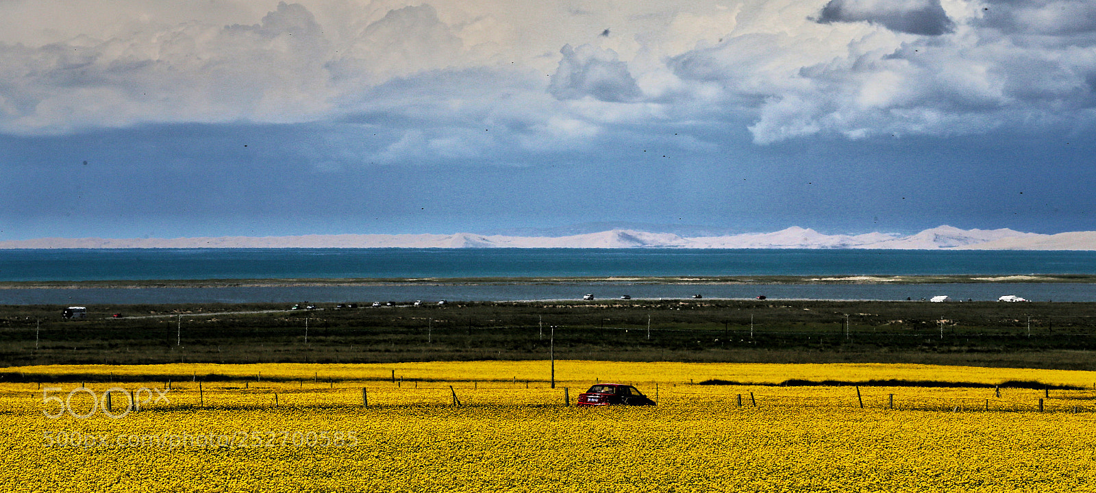 Canon EOS-1D X sample photo. Untitled photography