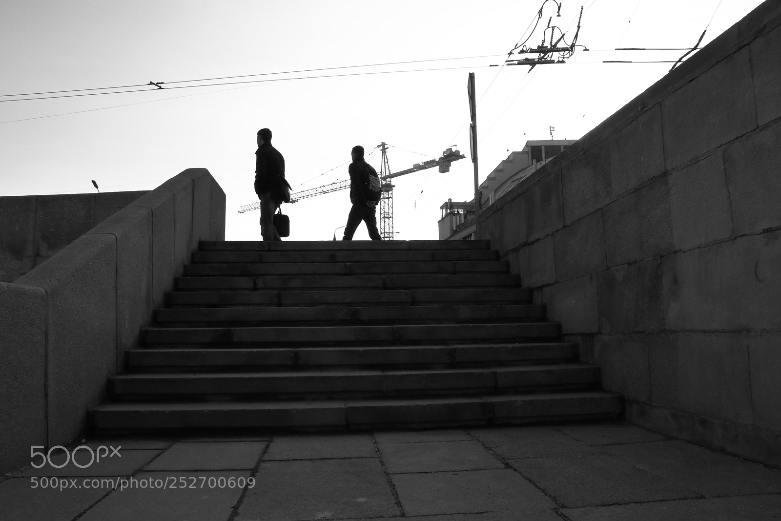 Canon EOS M5 sample photo. Tram net photography