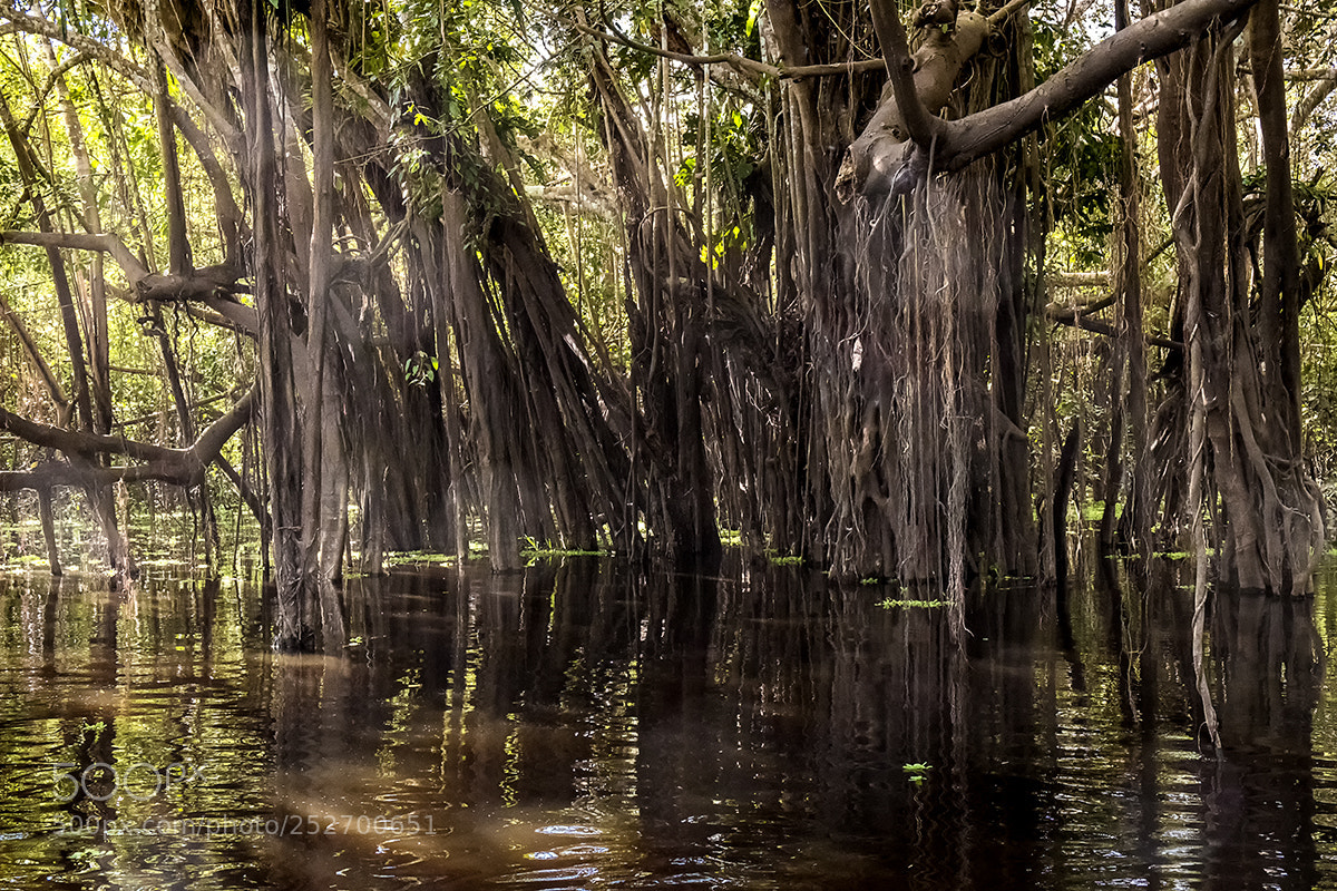 Fujifilm X-T2 sample photo. Rio solimões photography