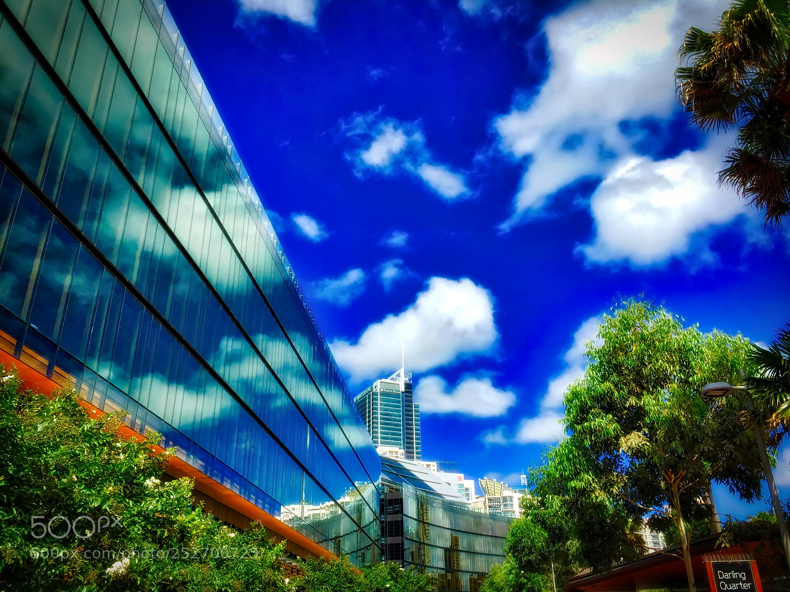 Apple iPhone 6 sample photo. Darling quarter photography