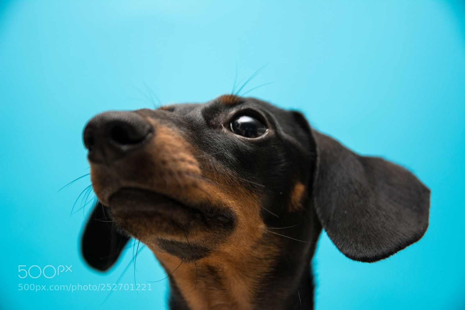 Nikon D7100 sample photo. Untitled photography