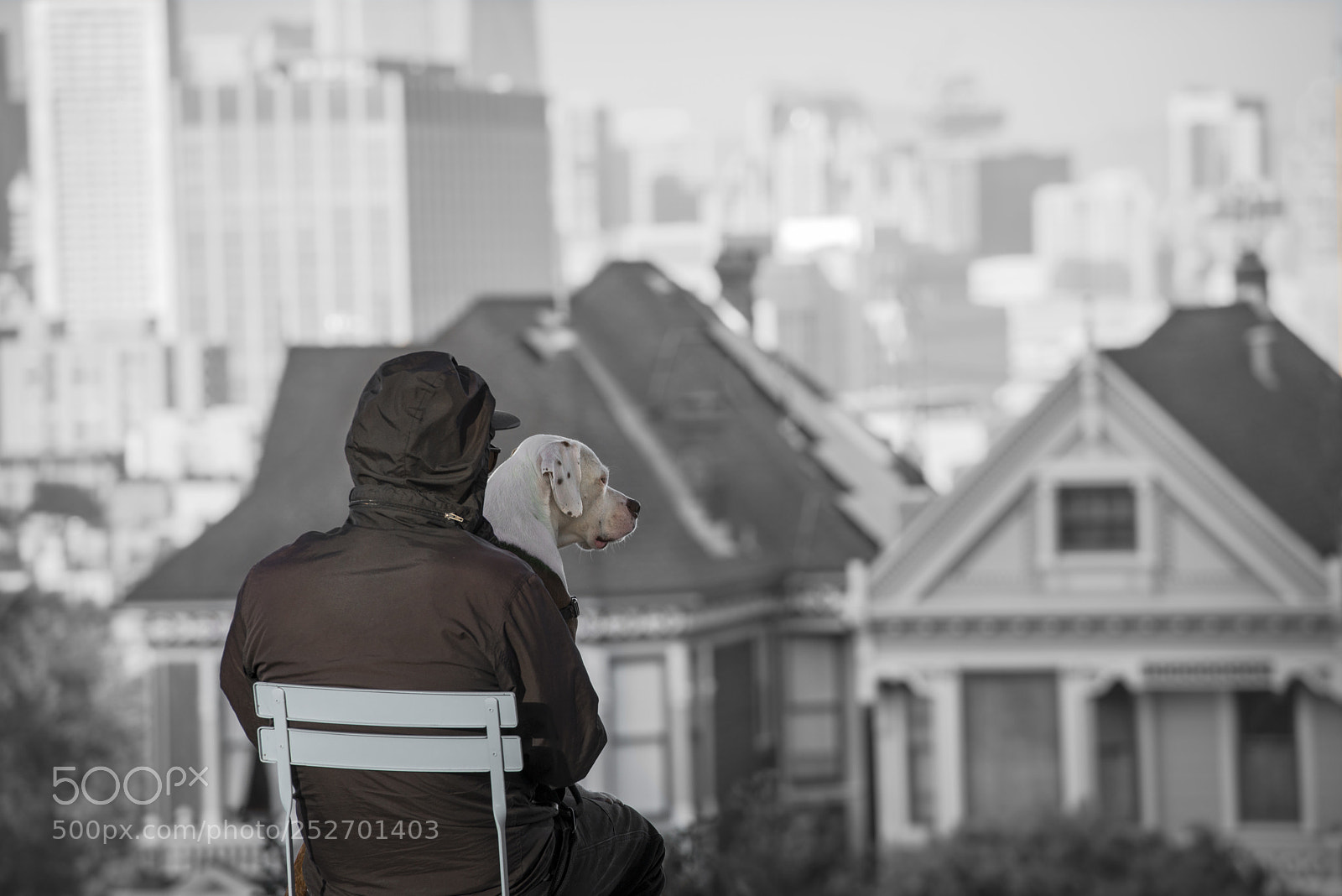 Nikon D800 sample photo. Dream photography