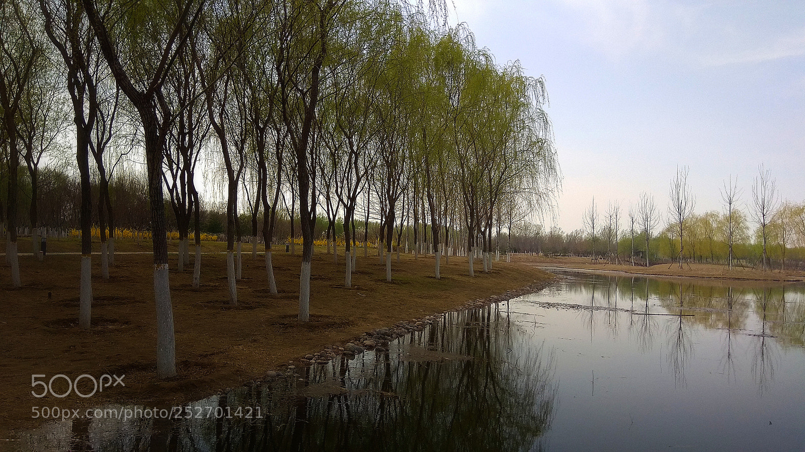 Xiaomi Redmi Note 4X sample photo. 3 photography