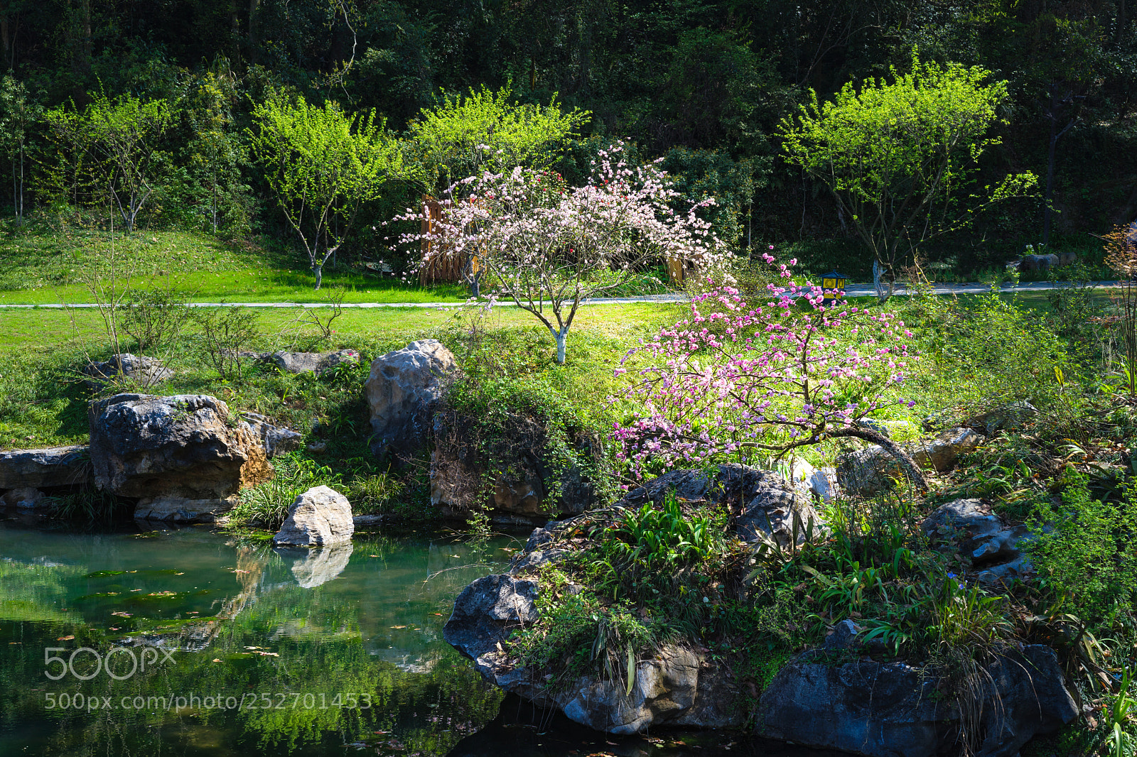 Sony a7 sample photo. Dsc photography