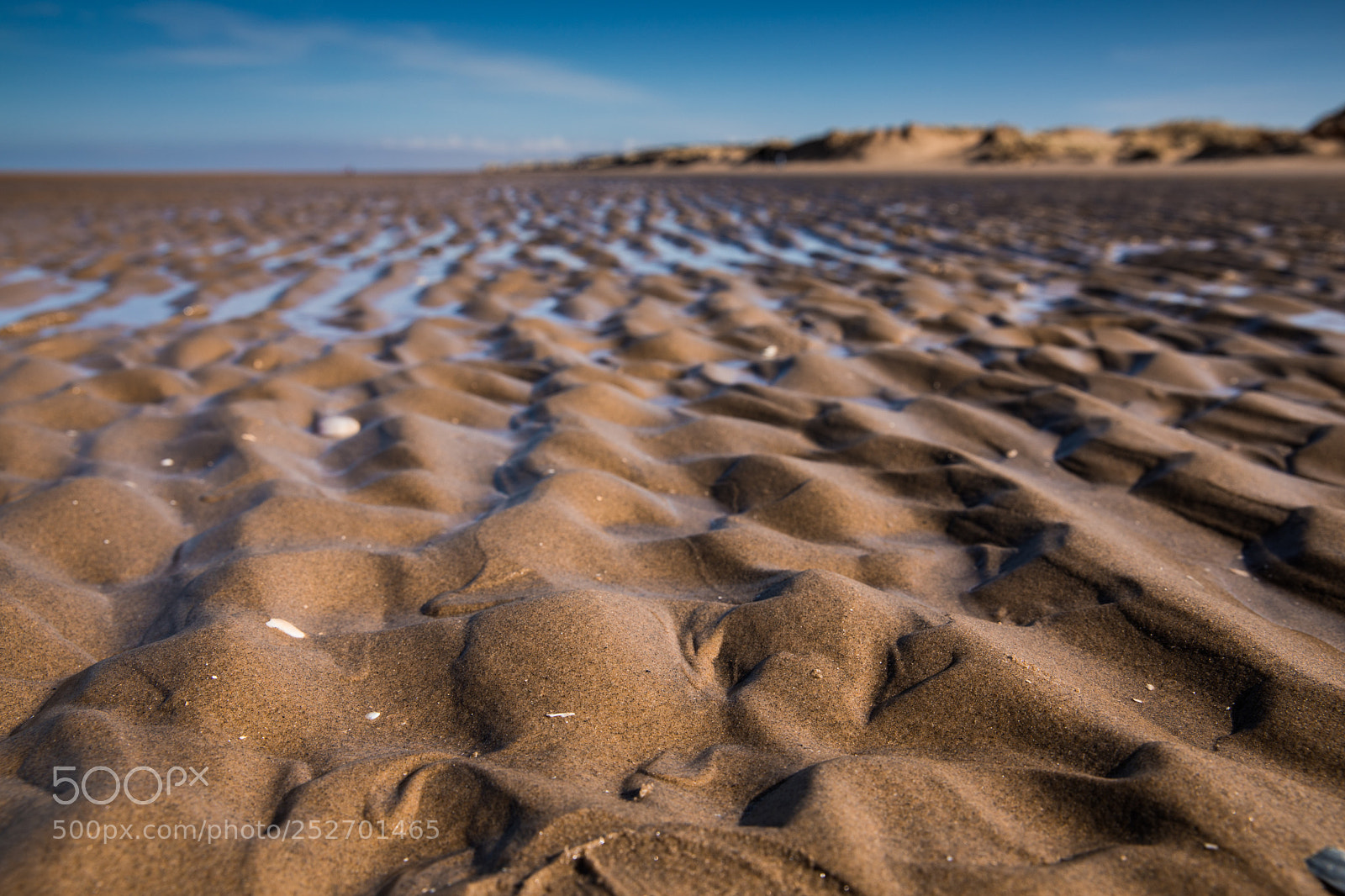 Canon EOS 5D Mark IV sample photo. Formby again photography
