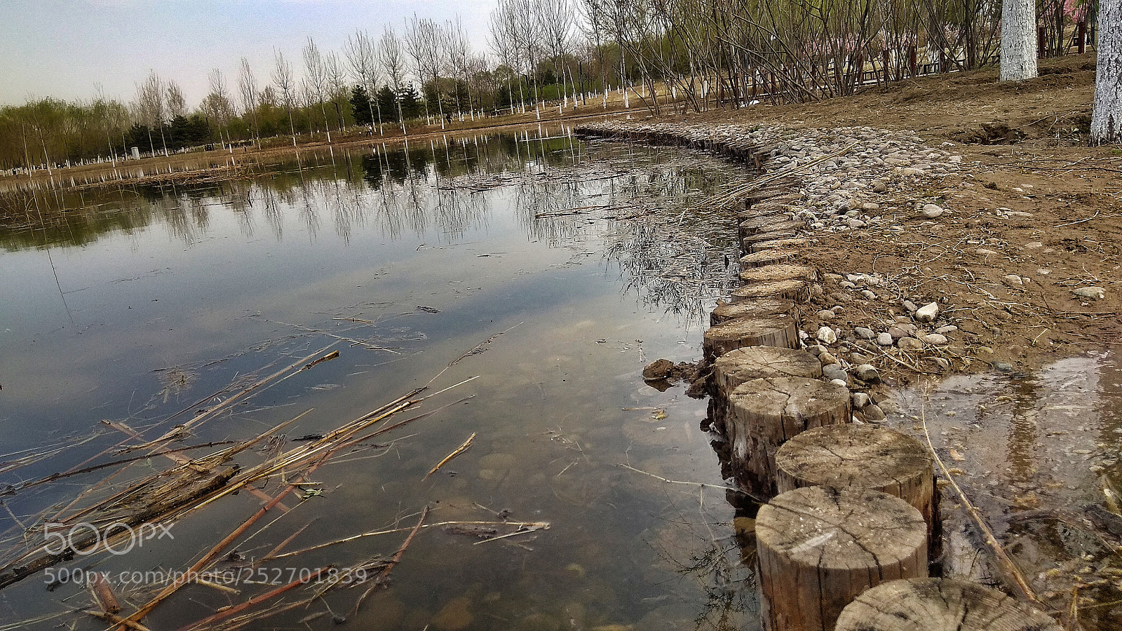 Xiaomi Redmi Note 4X sample photo. 4 photography
