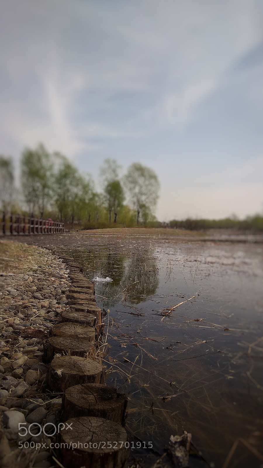 Xiaomi Redmi Note 4X sample photo. 5 photography
