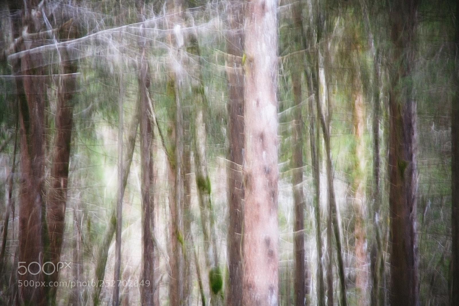 Canon EOS 5D sample photo. No space for nothingness photography