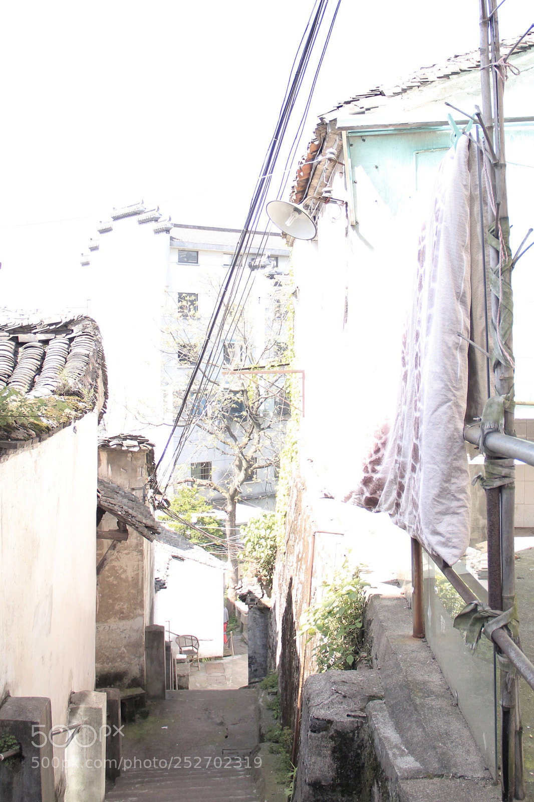 Canon EOS 600D (Rebel EOS T3i / EOS Kiss X5) sample photo. Untitled photography