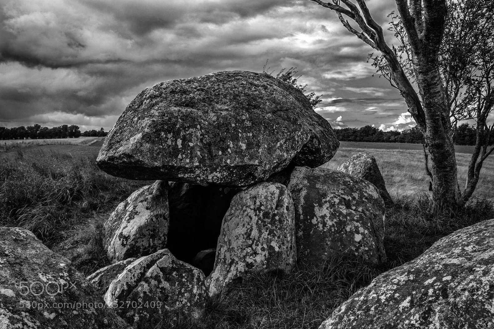 Canon EOS 80D sample photo. Stenvad langdysse photography