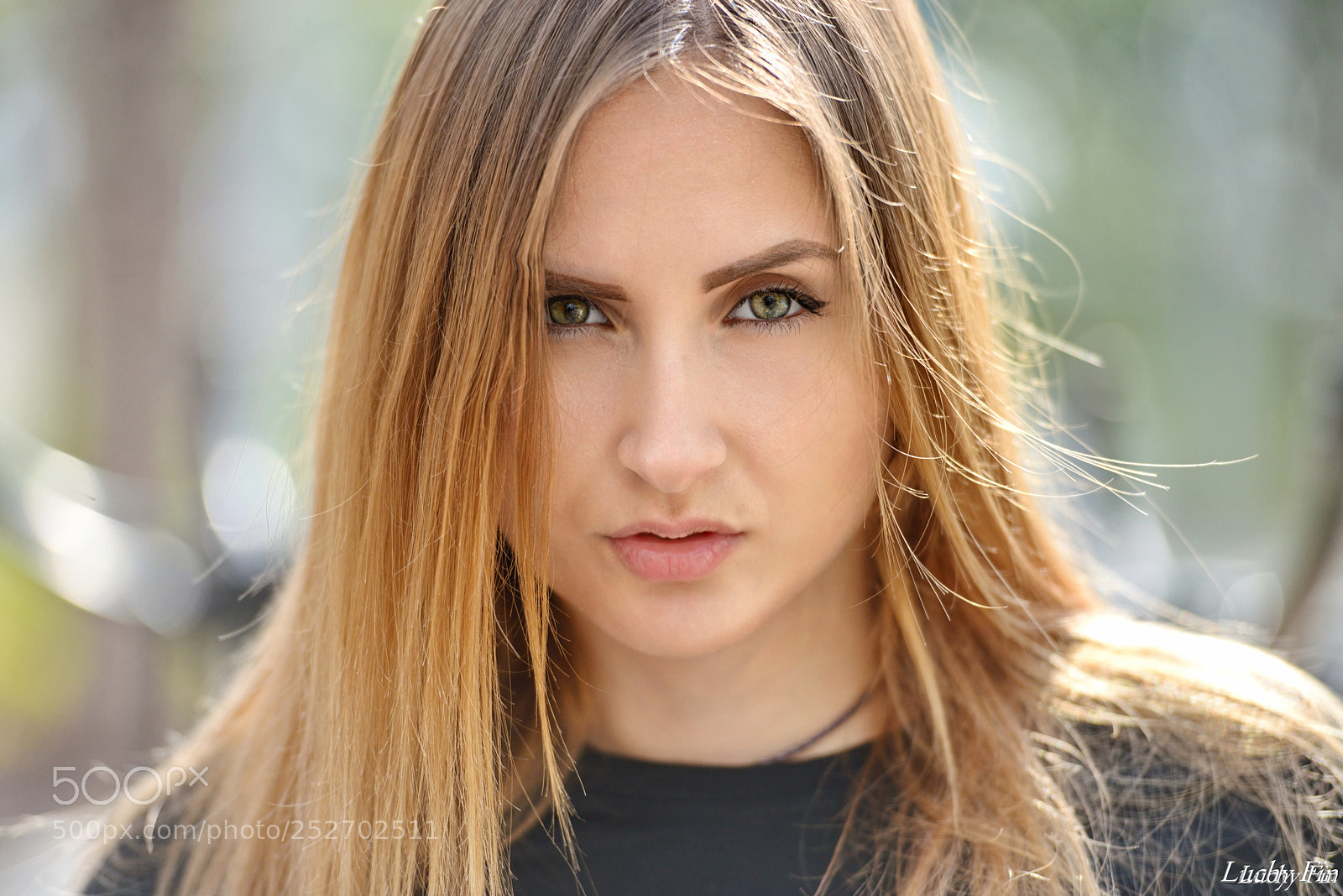 Nikon D800 sample photo. Victoria () photography