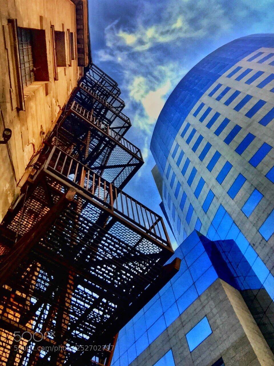 Apple iPhone 6 sample photo. Looking up photography