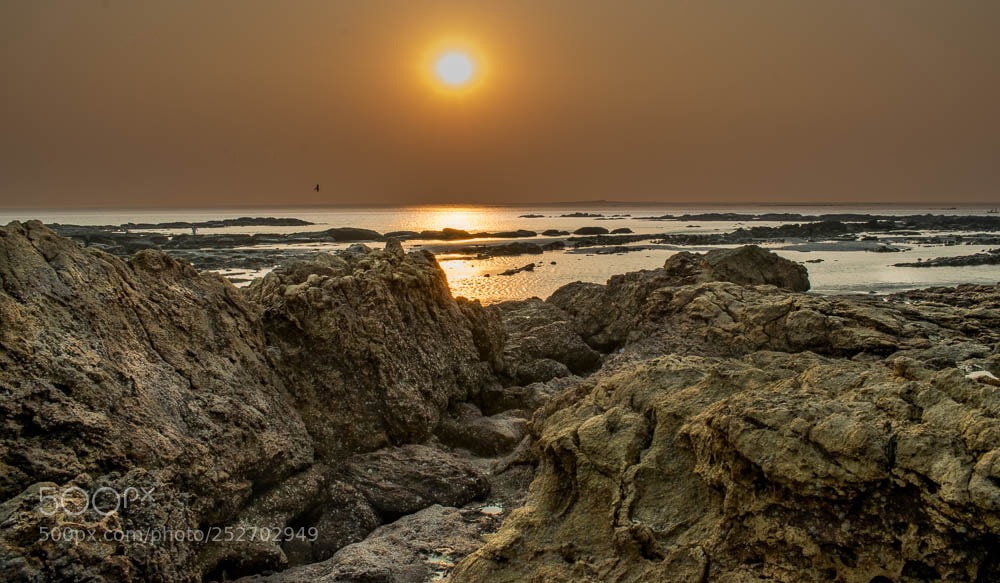 Nikon D5300 sample photo. Shades of ochre photography