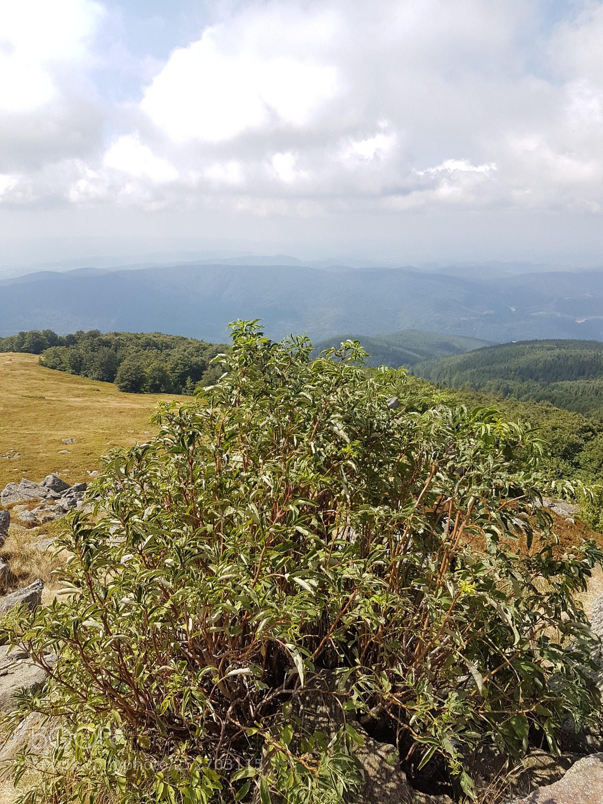 Samsung Galaxy S7 sample photo. 20170815_152420.jpg photography