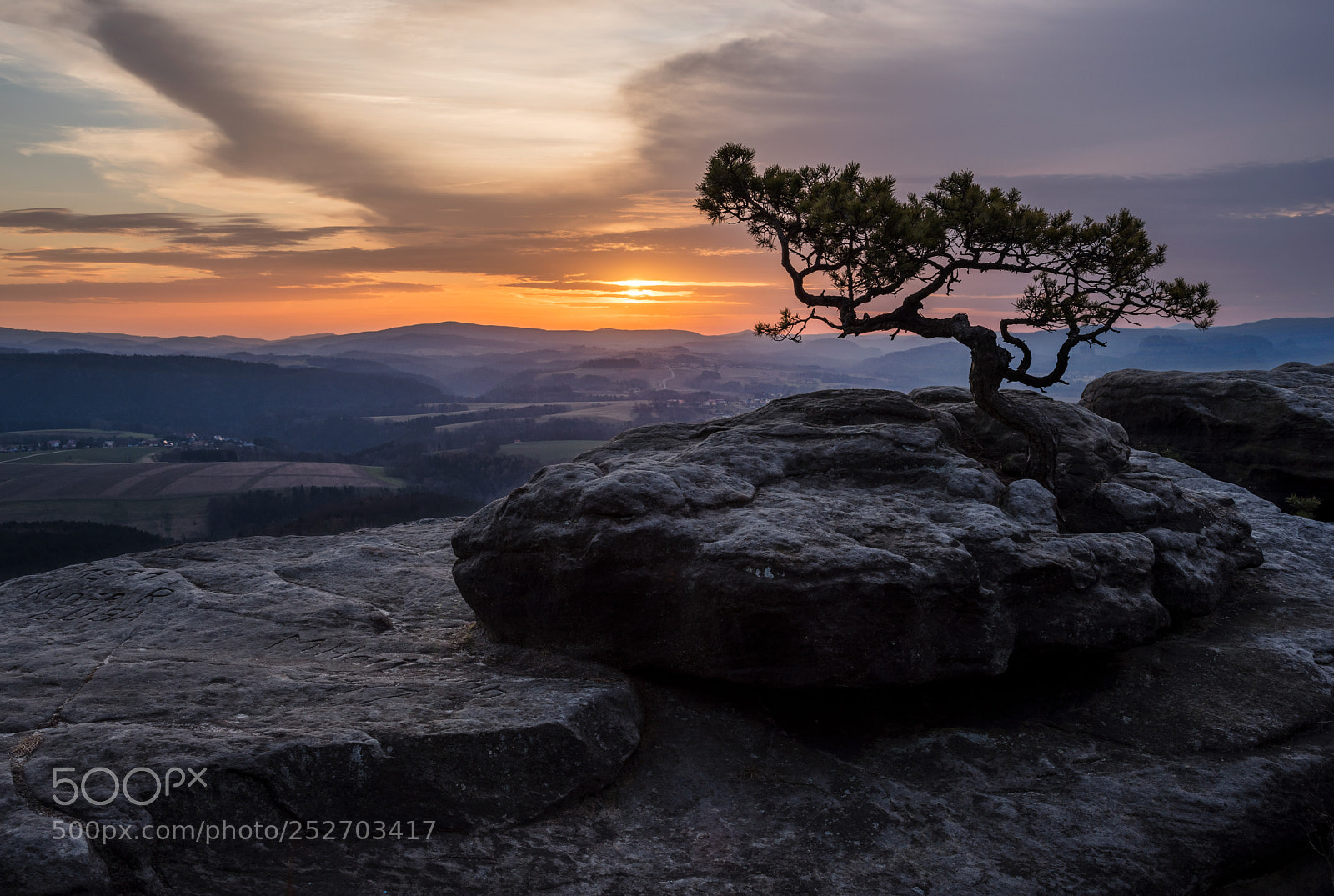 Pentax K-1 sample photo. The pine and the photography
