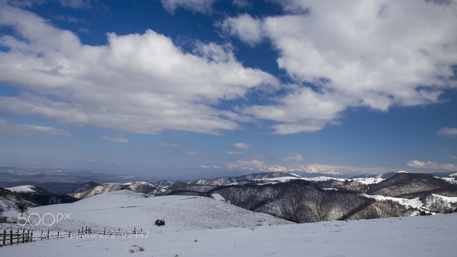 Canon EOS 50D sample photo. Small photography