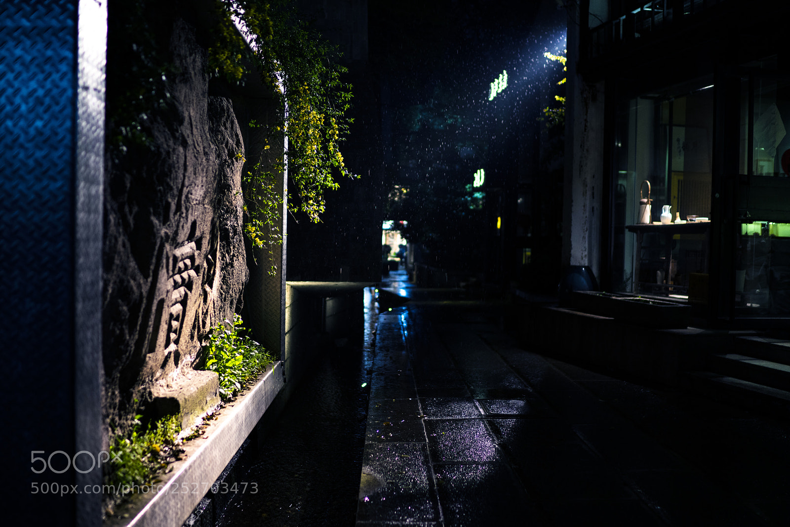 Sony a7R III sample photo. Light photography