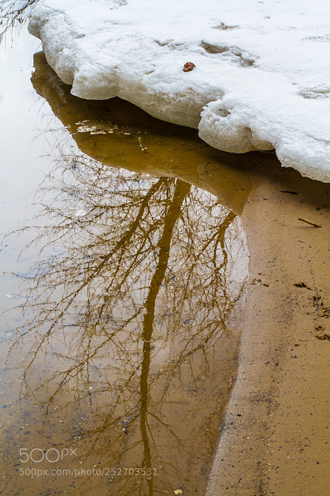 Canon EOS 7D sample photo. Дніпро.Останні зимові дні. photography
