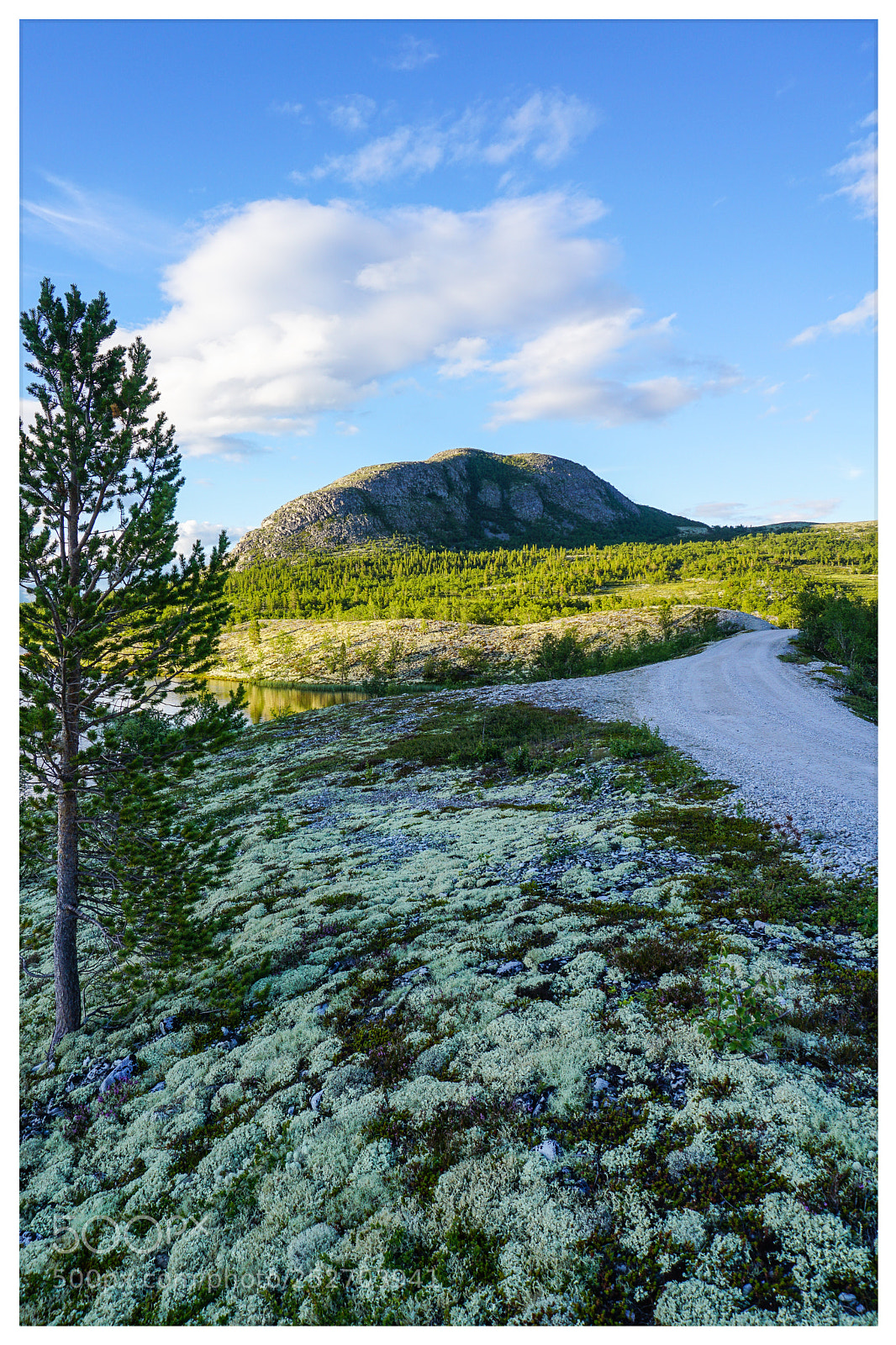 Sony a6000 sample photo. Rondane 4 photography